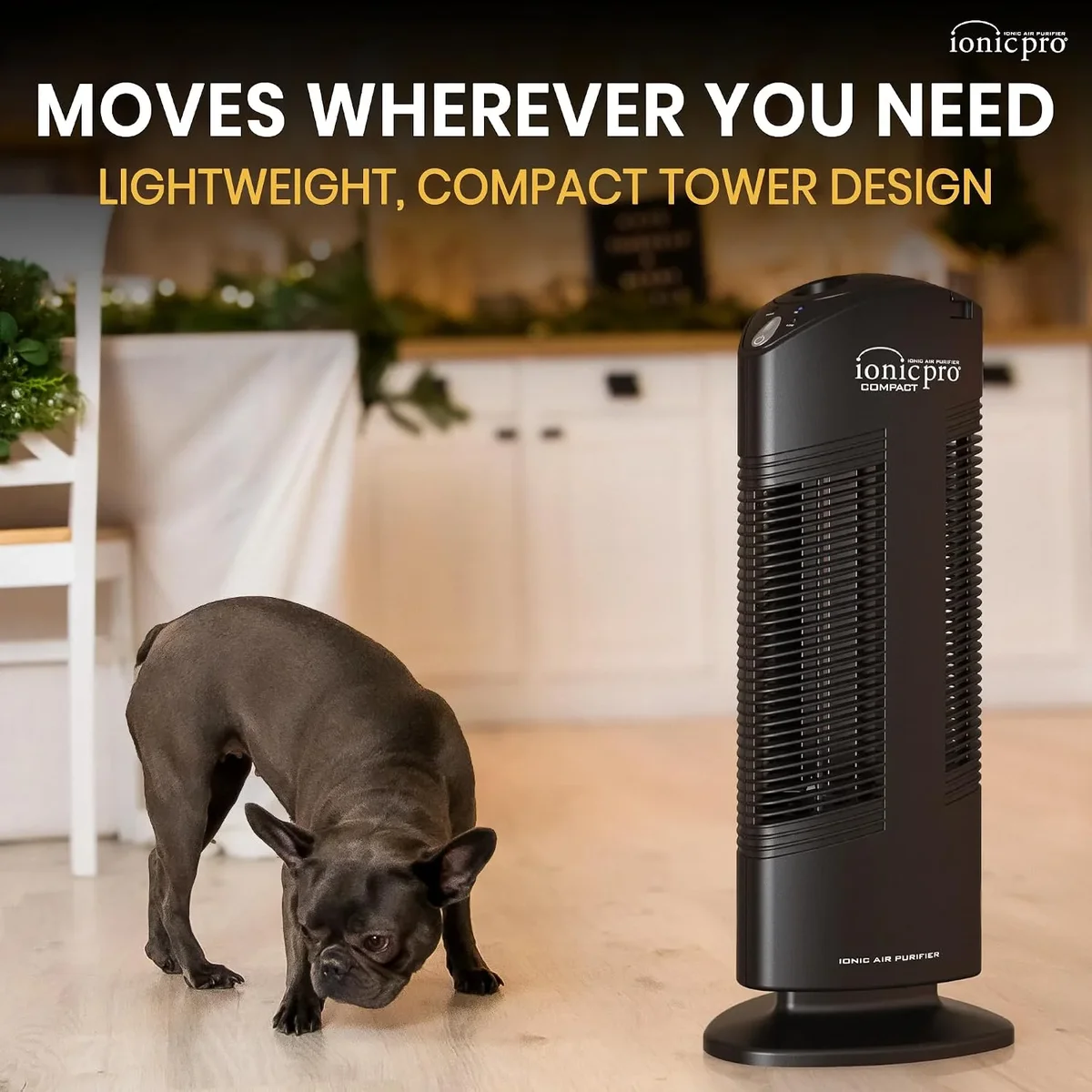 Ionic Pro® Ionic Pro Compact Ionic Air Purifier, 250 sq ft Room Capacity, Two Speeds 4409
