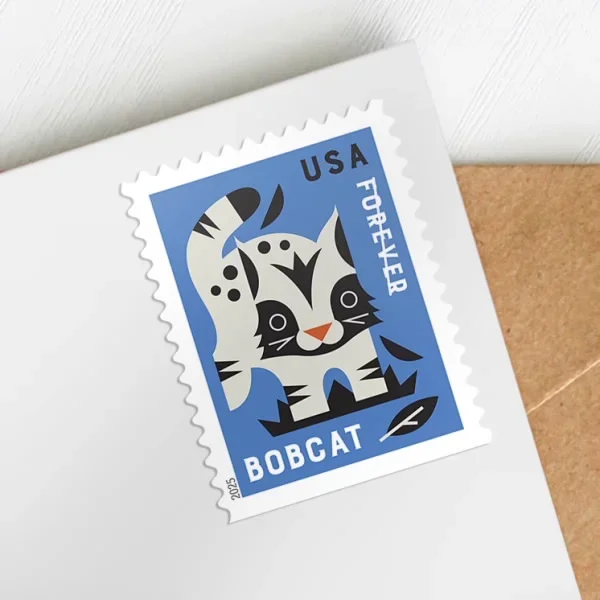 USPS Baby Wild Animals USPS Forever Postage Stamp 1 Book of 20 US First Class Flower Outdoor Holiday Wedding Celebration Announcement (20 Stamps) 7502