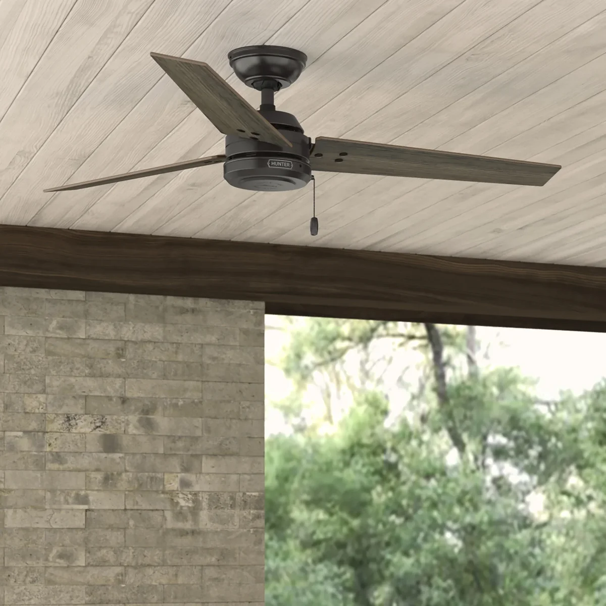 Hunter 52 inch Cassius Noble Bronze Damp Rated Ceiling Fan and Pull Chain 8608