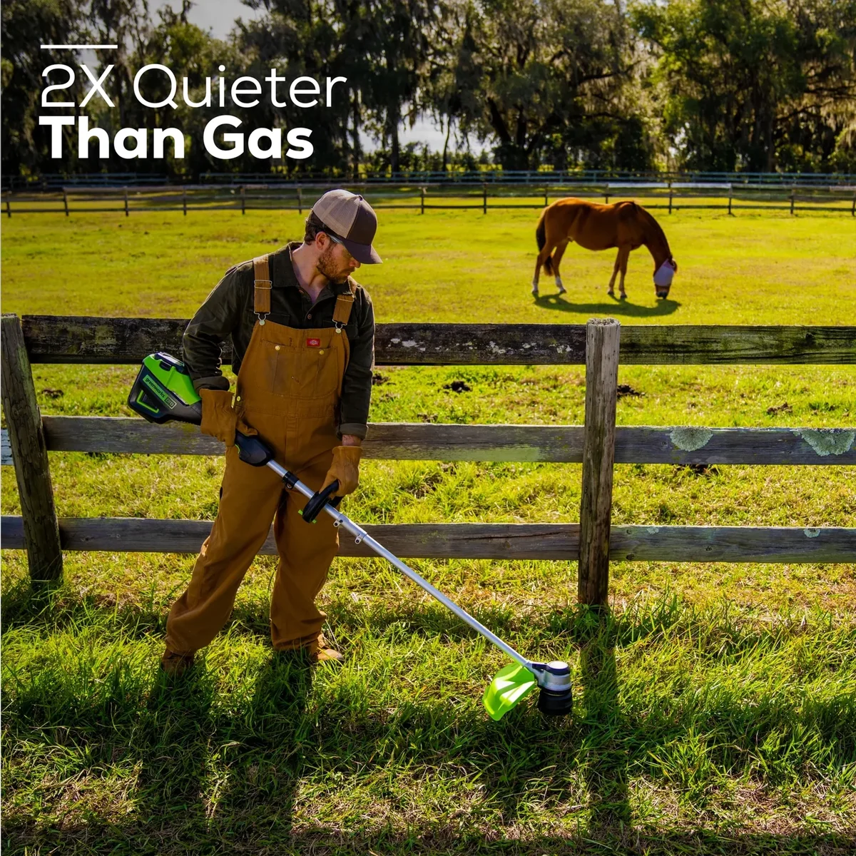 Greenworks 60V 16" Cordless Brushless String Trimmer Edger with 2.5 Ah Battery and Charger 2122802 6130