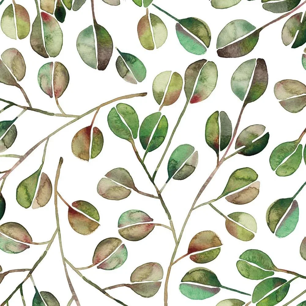 Everdaily Essentials Cat Coquillette Eucalyptus Peel and Stick Wallpaper 2565