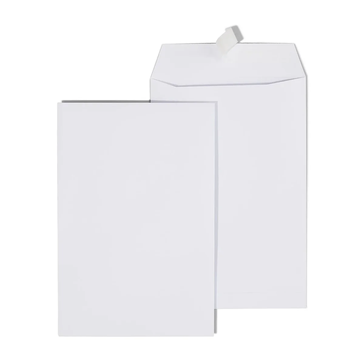 Staples EasyClose Catalog Envelopes 6' x 9" White Wove 100/Box (20139) 892099N 4113