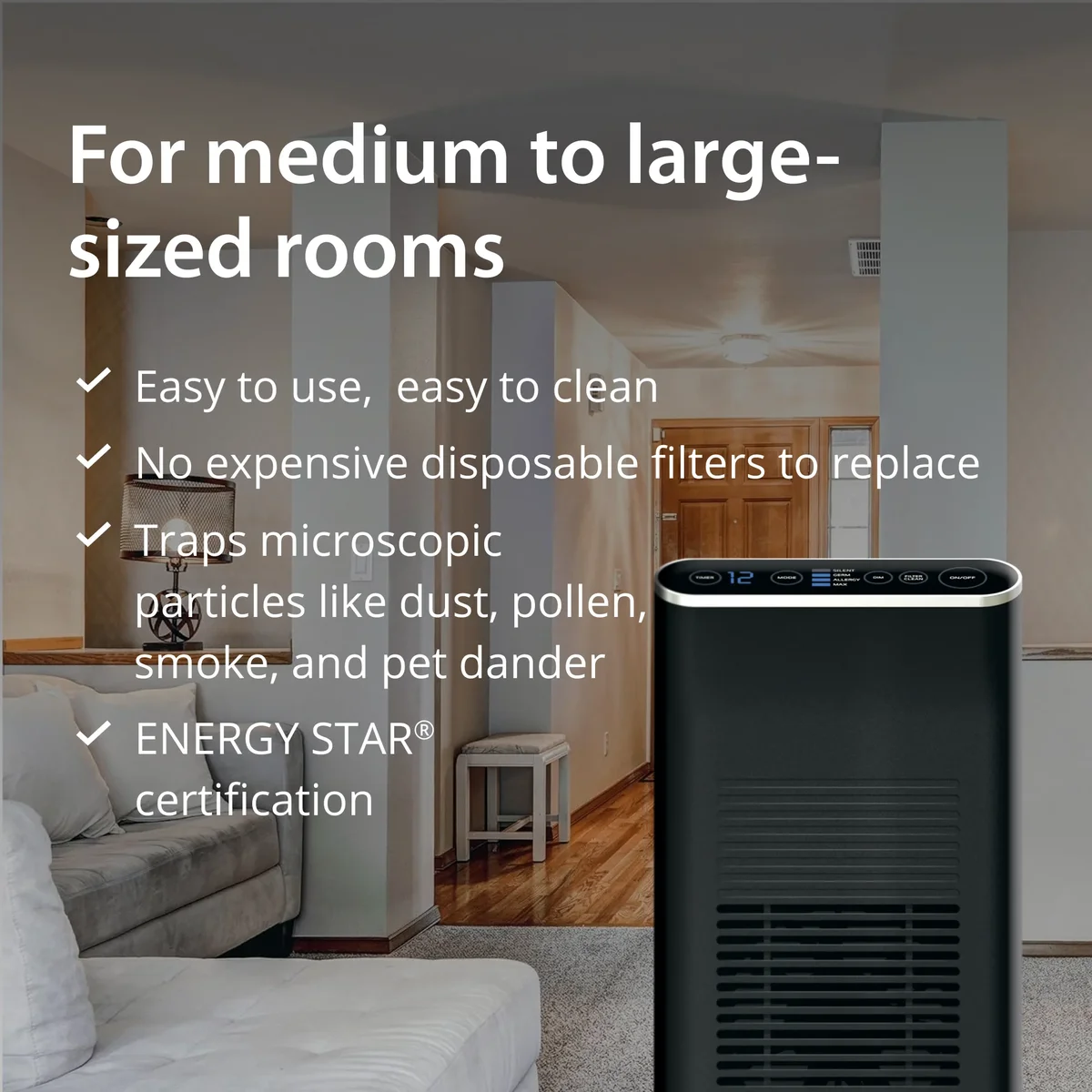 Ionic Pro Platinum Air Purifier with Blade Filter 4615