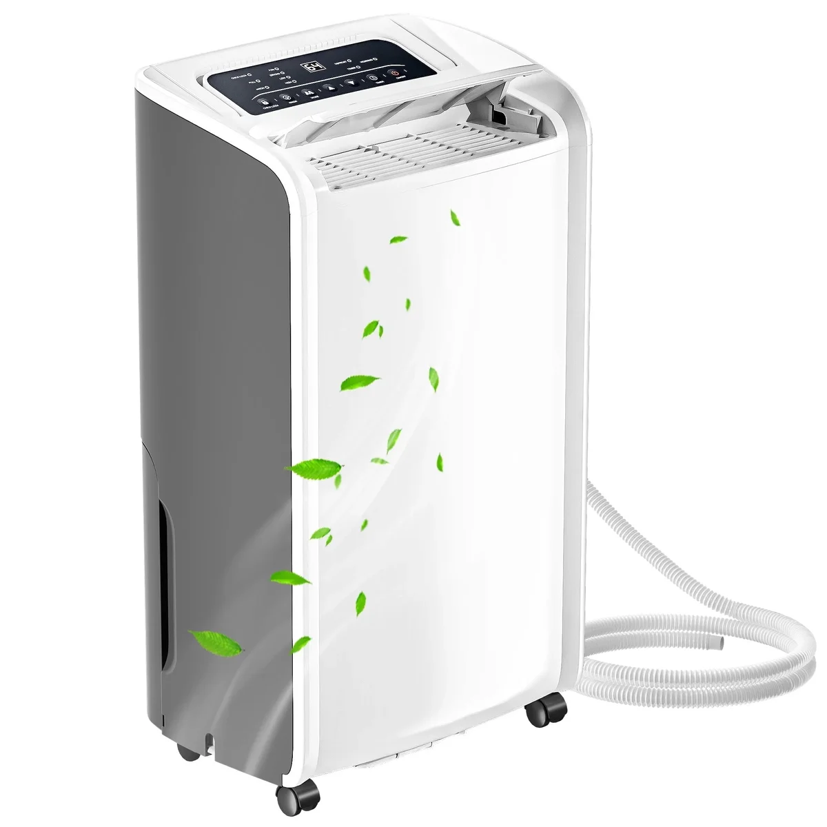 Rocyis Small Compressor Dehumidifier, 70 Pints, Programmable, Purifier for Home, 4,500 Sq. Ft. 5672